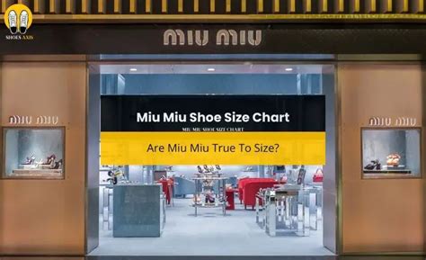 miu miu fashion|miu size chart.